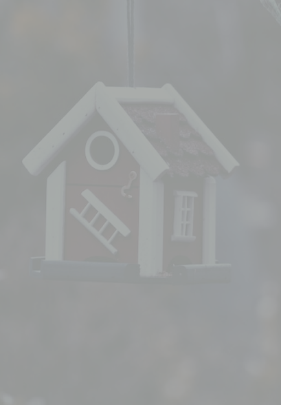 Ca Rental Property Market Analysis