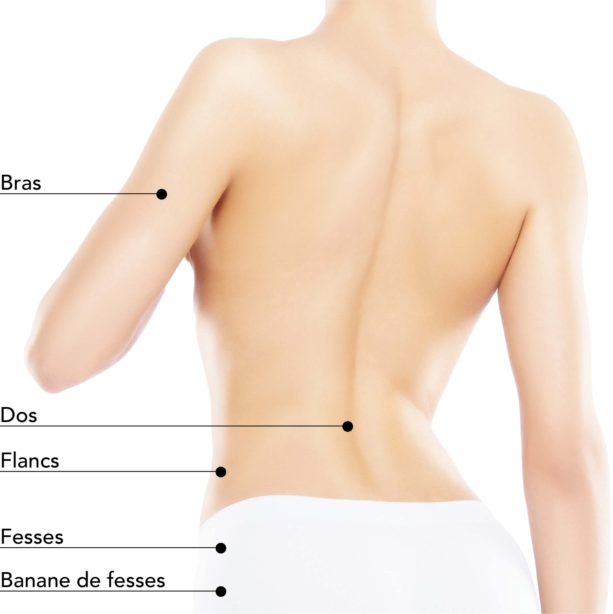 https://identia.digital/stlaurent/wp-content/uploads/2024/05/St-Laurent-Medico-Esthetique_ColdSculpting_ZonesTraitables_ColdSculpting_Femme_Dos.jpg