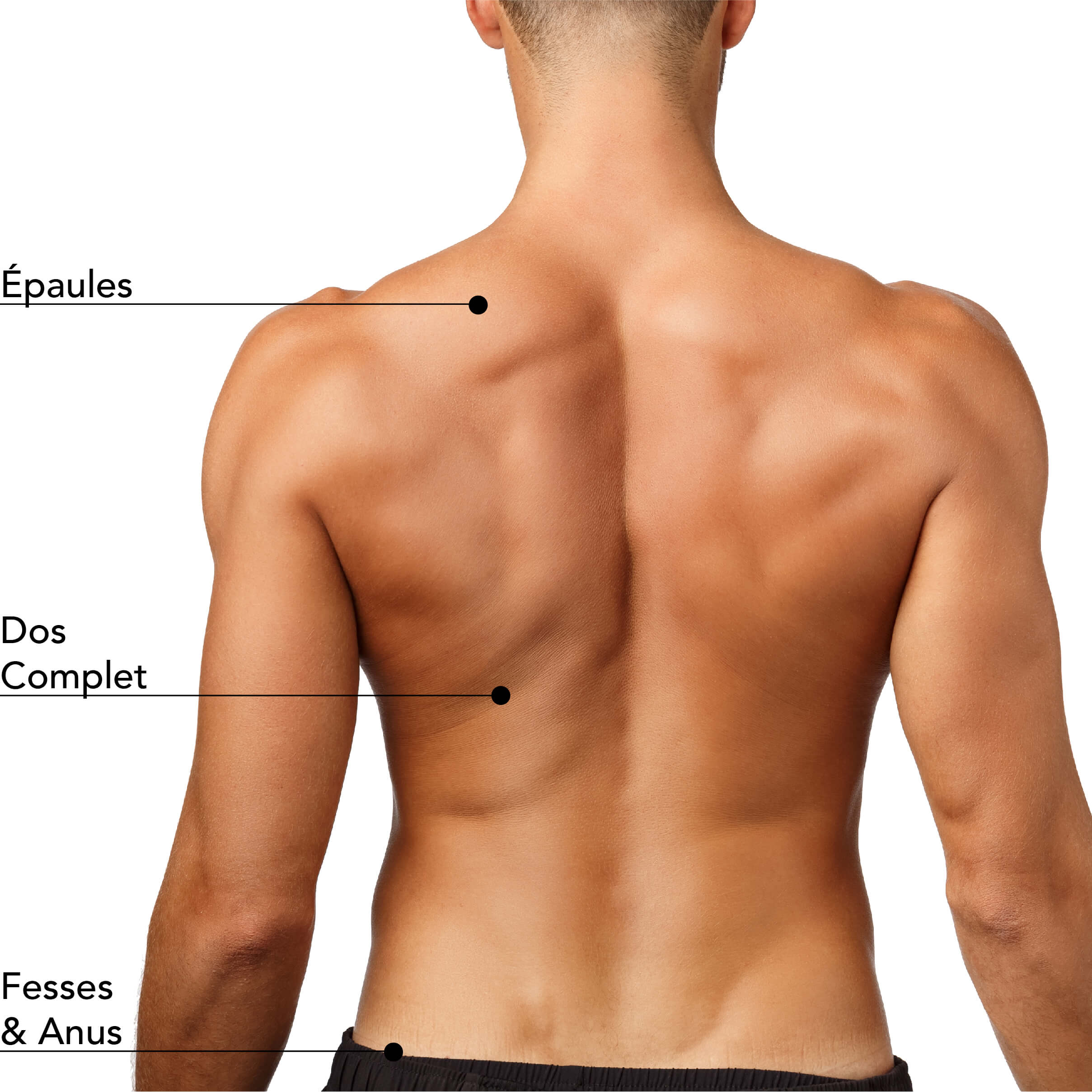 Zones d’épilation masculine disponibles : épaules, dos complet, fesses et anus