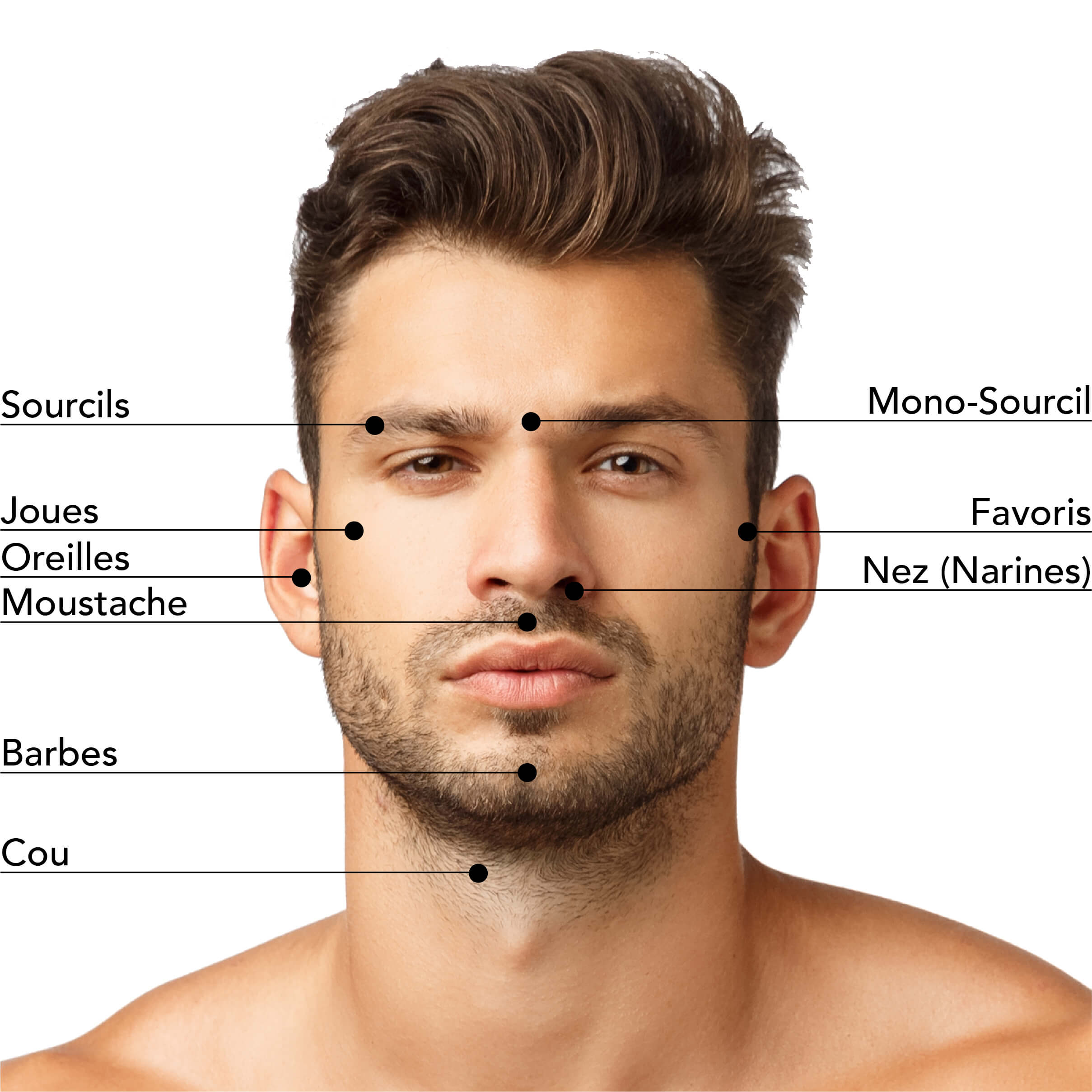 Zones d’épilation du visage pour hommes : sourcils, mono-sourcil, joues, favoris, oreilles, moustache, nez (narines), barbe et cou, pour un entretien soigné.