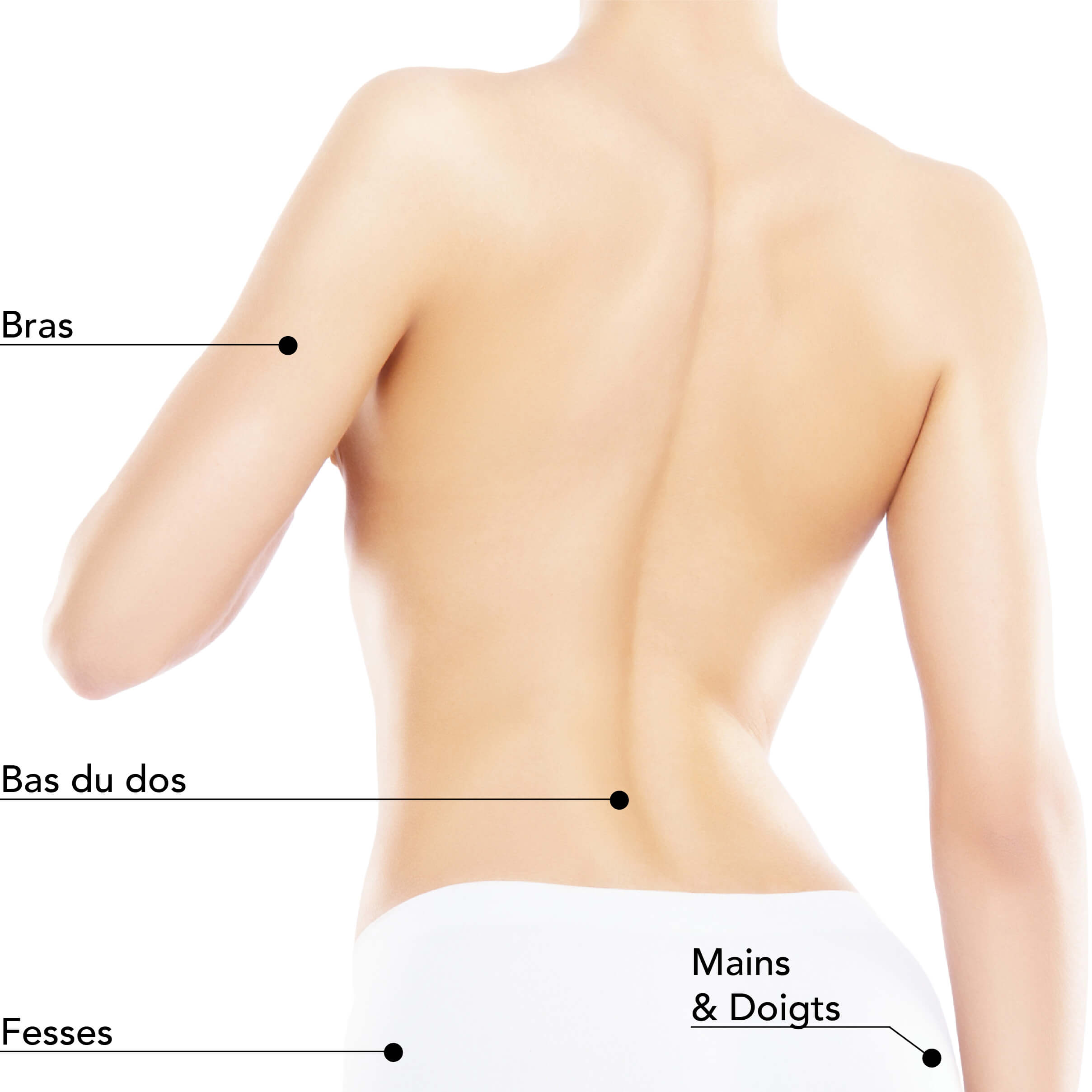 https://identia.digital/stlaurent/wp-content/uploads/2024/05/St-Laurent-Medico-Esthetique_Epilation-Cire_ZonesTraitables_IPL-LumierePulsee_Femme_Dos.jpg