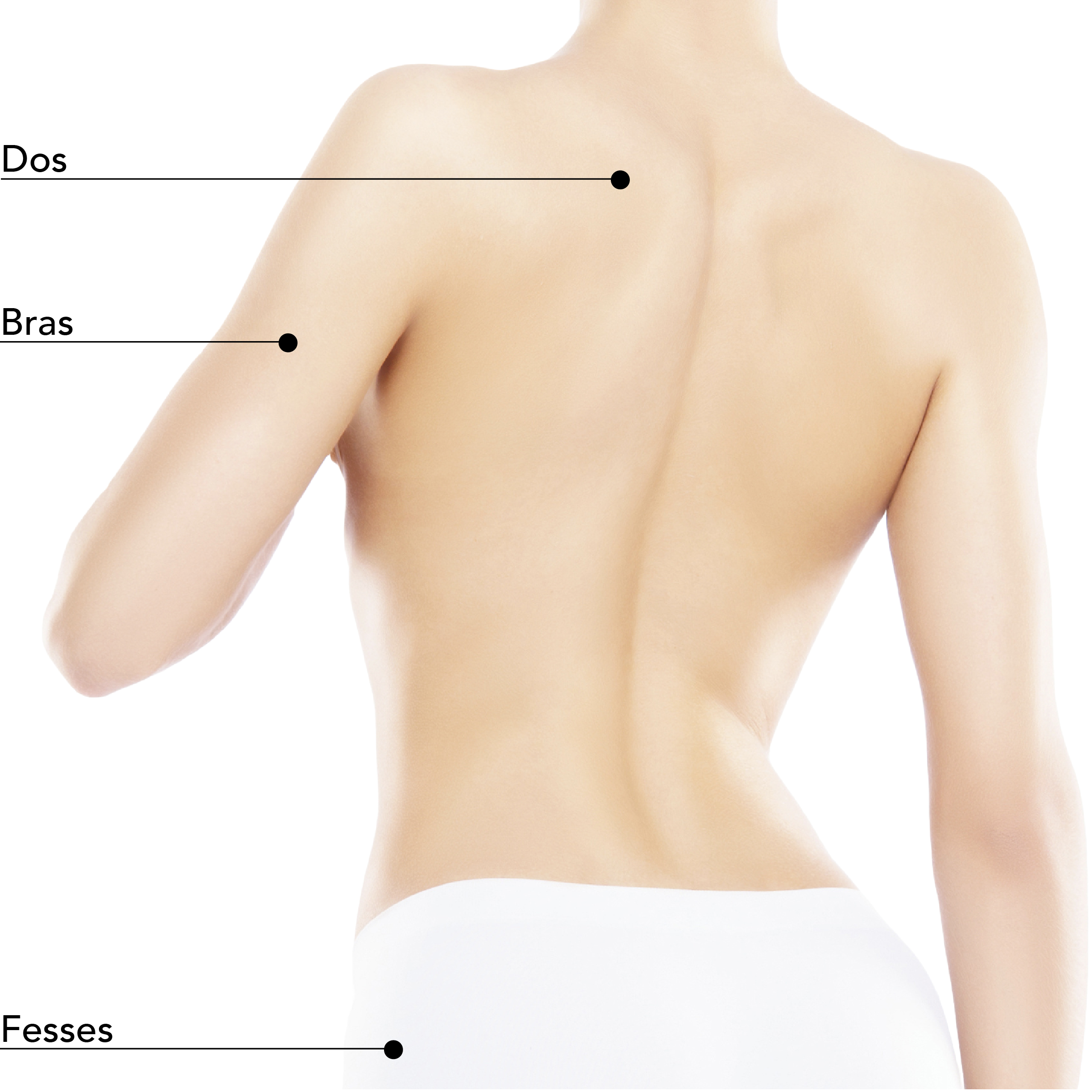 https://identia.digital/stlaurent/wp-content/uploads/2024/05/St-Laurent-Medico-Esthetique_MeSculpt_ZonesTraitables_femme_dos.jpg