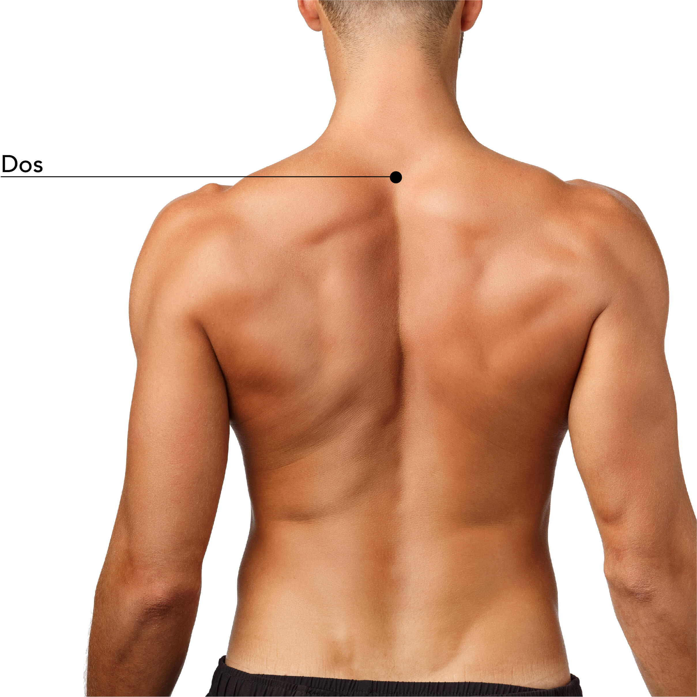 Zones ciblées pour un soin esthétique masculin : dos, pour une apparence soignée et naturelle.