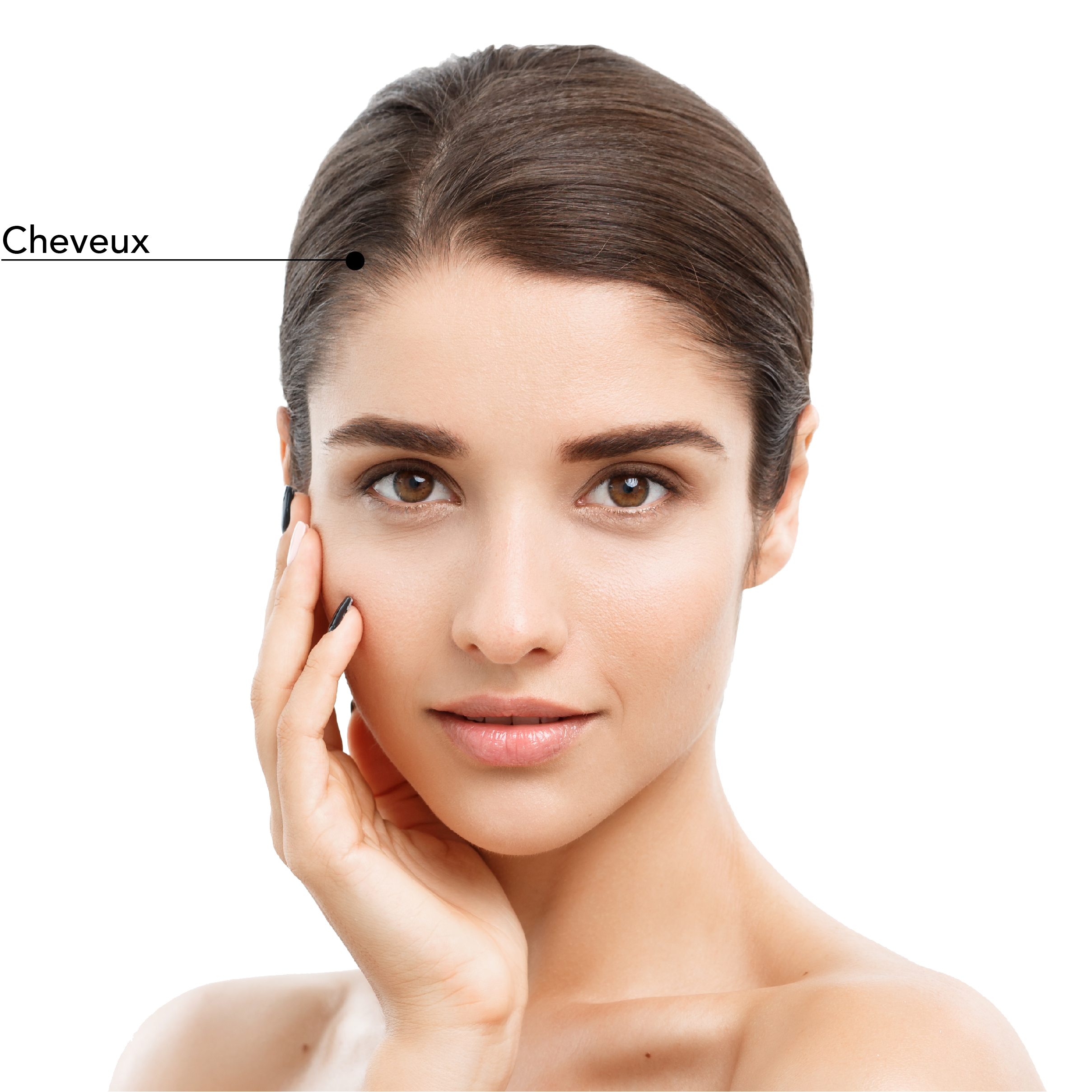 https://identia.digital/stlaurent/wp-content/uploads/2024/05/St-Laurent-Medico-Esthetique_Repousse-Capilaire-PRP-plasma-riche-en-plaquette_Zones_traitable_3.jpg