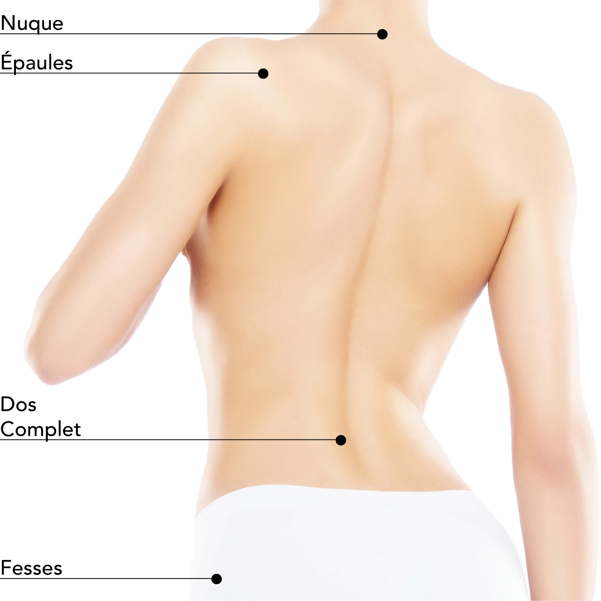 https://identia.digital/stlaurent/wp-content/uploads/2024/05/St-Laurent-Medico-Esthetique_Venus-AC-DUAL_ZonesTraitables_ACDual_Femme_Dos.jpg