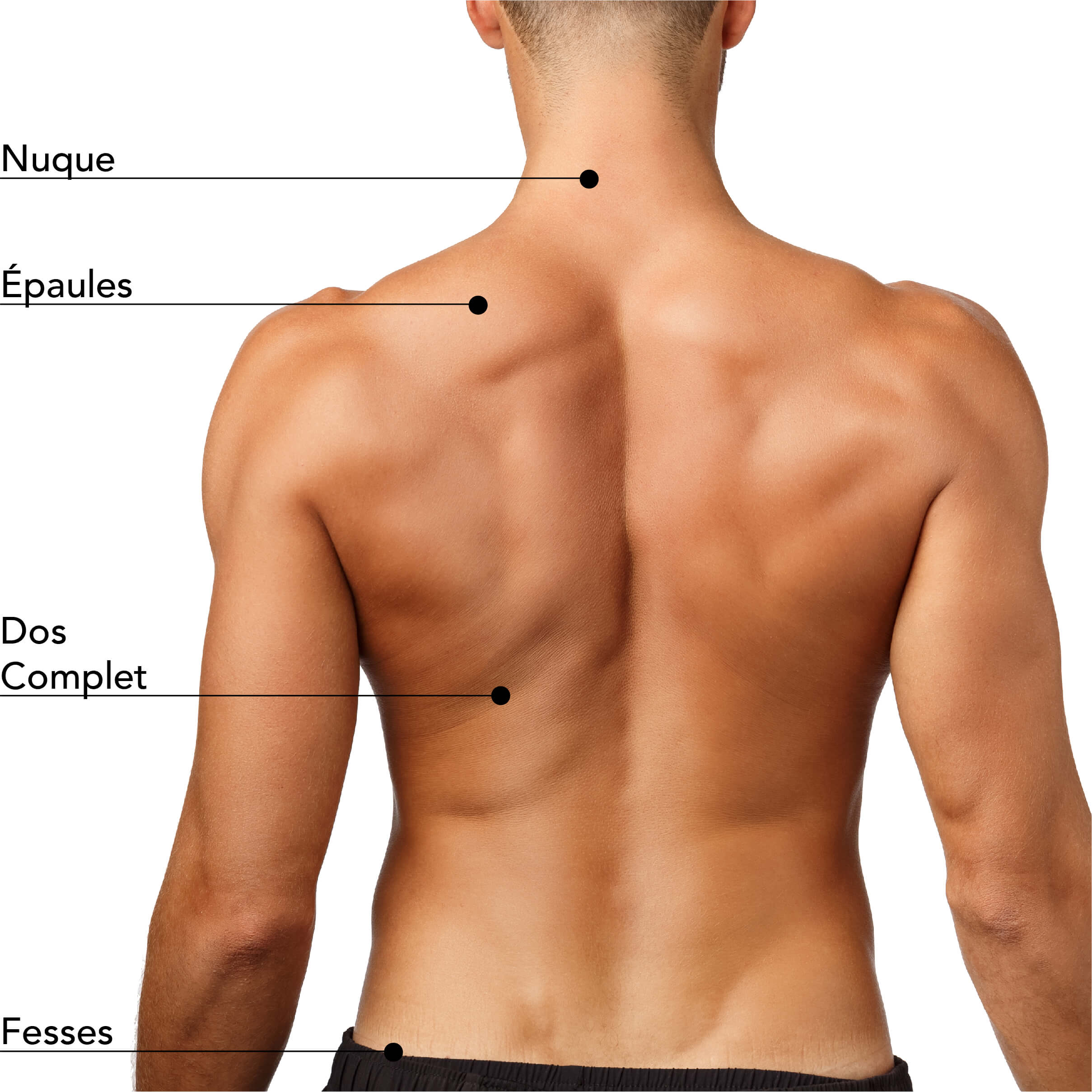 Illustration des zones de traitement pour les soins esthétiques masculins, incluant la nuque, les épaules, le dos complet et les fesses