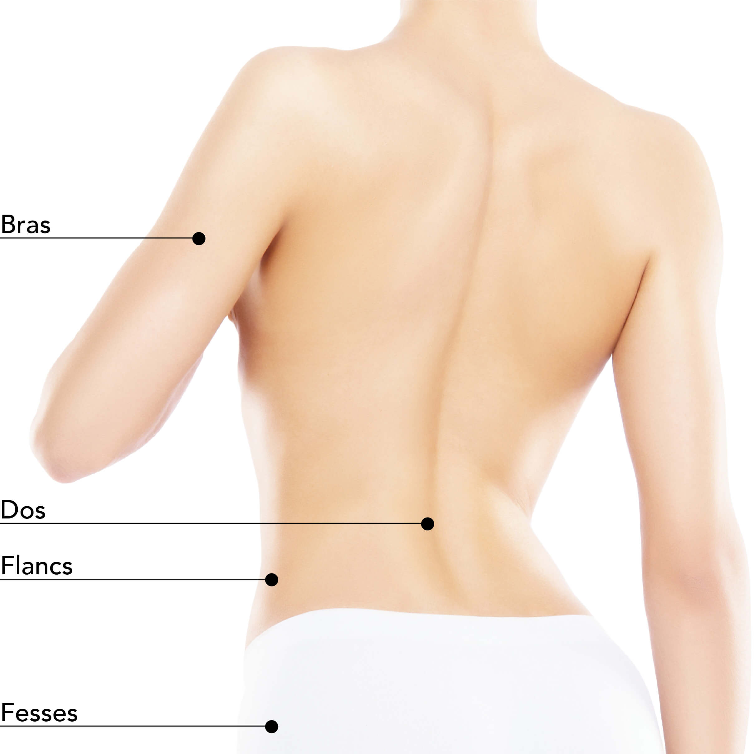 https://identia.digital/stlaurent/wp-content/uploads/2024/05/St-Laurent-Medico-Esthetique_Venus-Freeze_ZonesTraitables_VenusFreeze_Femme_Dos.jpg