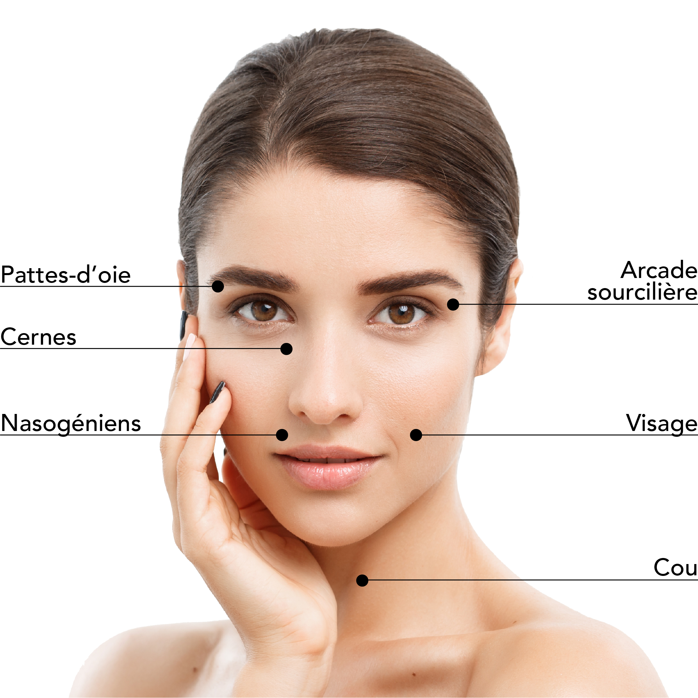 https://identia.digital/stlaurent/wp-content/uploads/2025/08/Zones-Traitables_Botox_Visage_Femme-copie.jpg