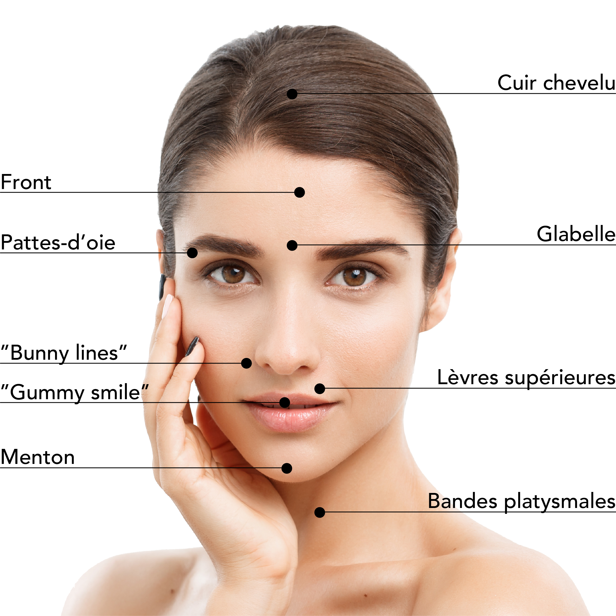 https://identia.digital/stlaurent/wp-content/uploads/2025/08/Zones-Traitables_Botox_Visage_Femme.jpg